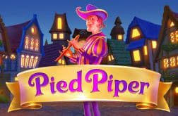 pied piper screenshot