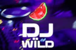 dj wild