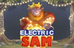 electric sam screenshot