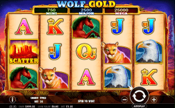 wolf gold