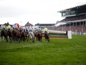 Miljoenen wedden op paardenraces tijdens Cheltenham festival