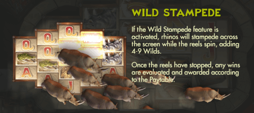 wild stampede feature