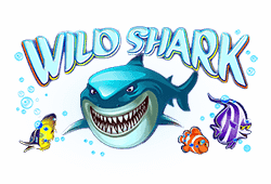 wild symbool shark