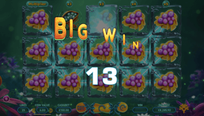 Big Win met bevroren fruit