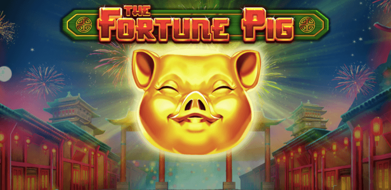 Fortune Pig