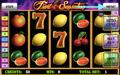 Spelinfo Fruit Sensation