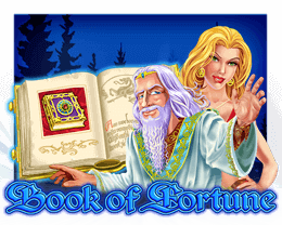 book of fortune gokkast