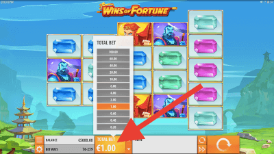 Bepaal je inzet op de Wins of Fortune slot