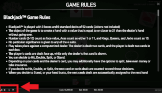 game rules standard blackjack