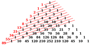 Fibonacci systeem